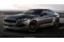 2017 Ford Falcon