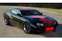 2017 Ford Torino