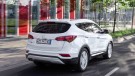 2017 Santa Fe Rear Angle
