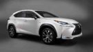 2018 Lexus NX Front Angle
