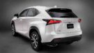 2018 Lexus NX Rear Angle