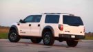 2018 Ford Excursion Rear Angle